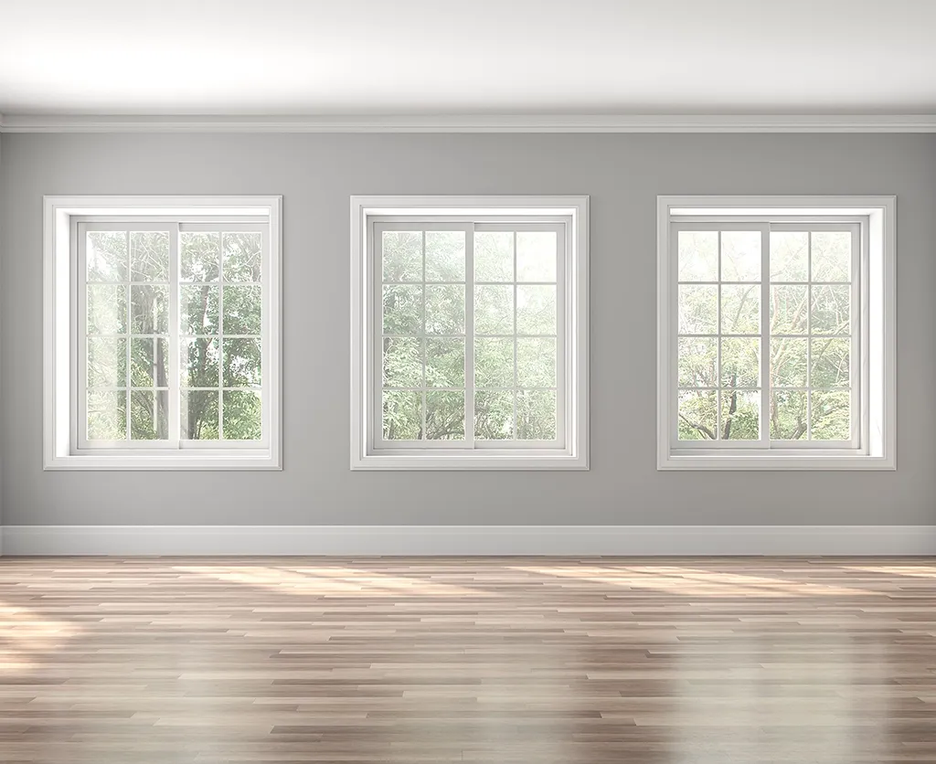 Interior Window